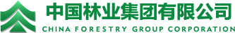 华体（中国）